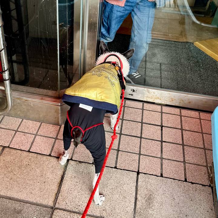 F873e6d3 7af4 46d6 8aa1 d90cc6e6b5b0 1647653526559