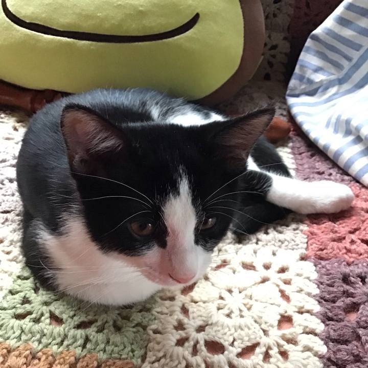 F873fe07 edb4 4b8d b010 cd8ea26e41fa 1626927193860