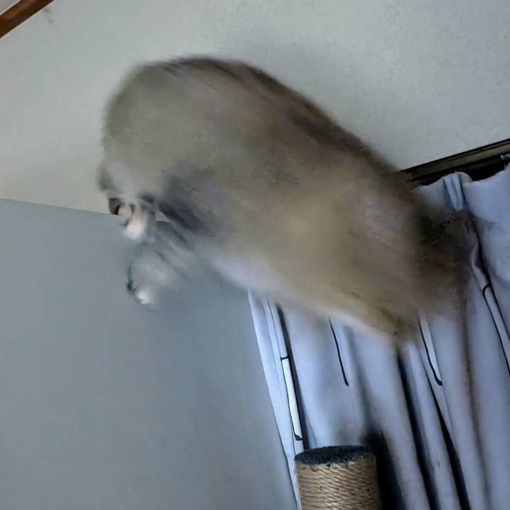 F873fe7e 9bc1 45ae 97ef 3e65233bf27c 1725656912479