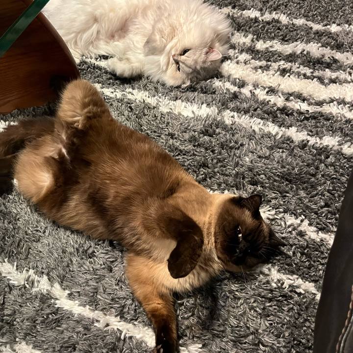 F874261f fcbb 4fce 89d0 f414ac364e11 1677756576793