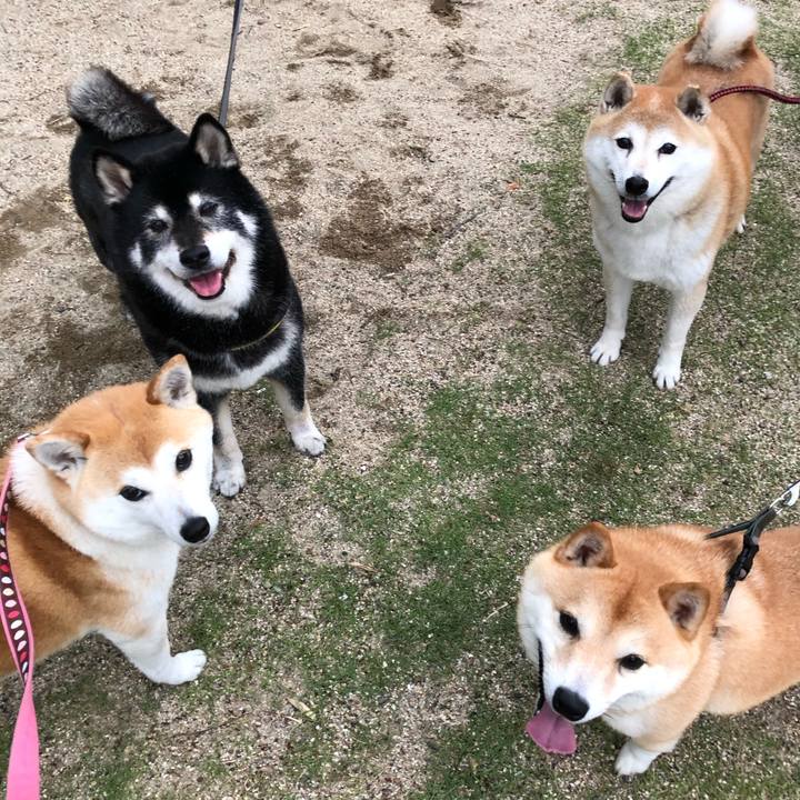 F8742653 9df1 49f9 98cc fda1298f3003 1590577182962