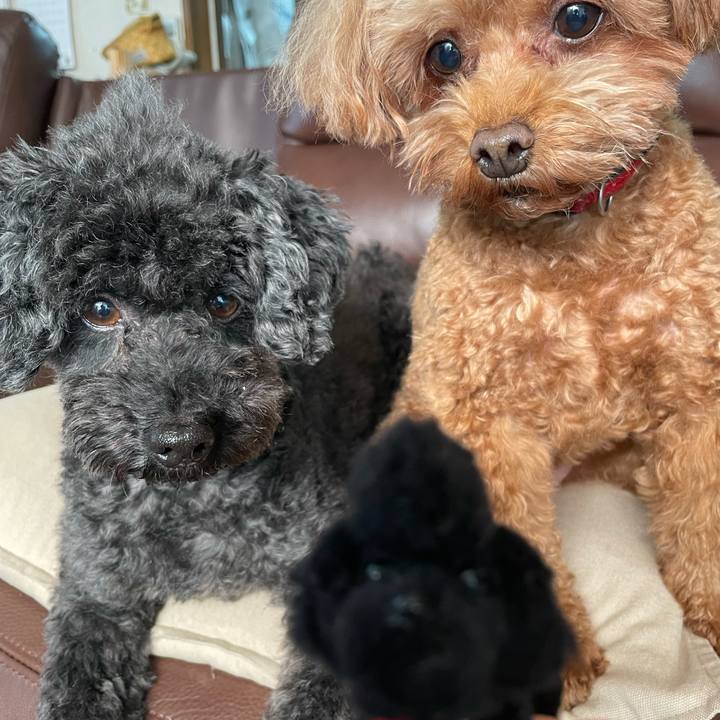 F87458fd 94ee 4283 98e7 880e4dd32073 1699069759823