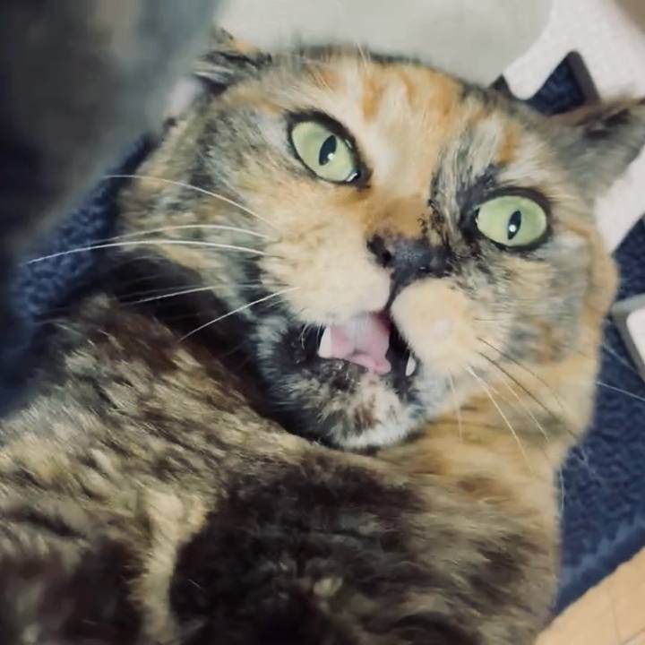 F8748344 3d90 446a 8dfc 8b1a637e1167 1772023388288