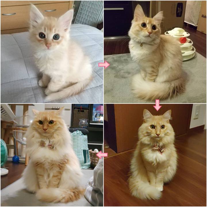 F874ea70 6c4c 4ad5 bfb7 fee3feca2874 1710979085697