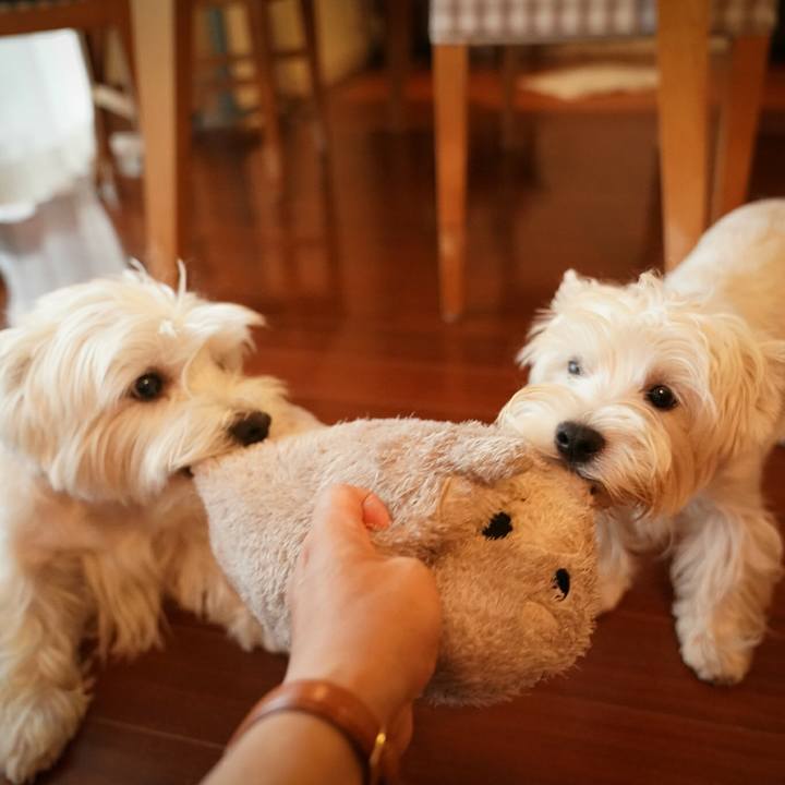 F87533a1 f7db 40ea b313 78c5451554f7 1524014818091