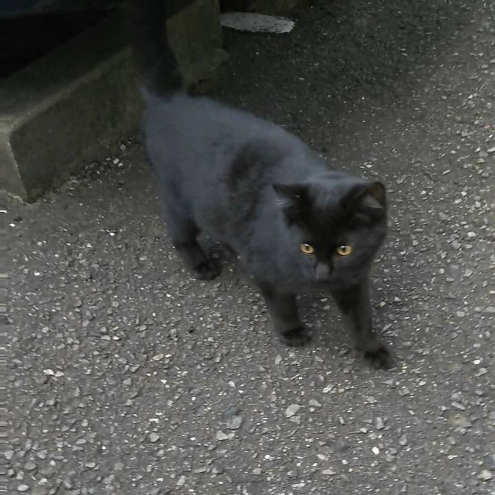 F8753941 b57f 4bd9 874a 5a0299bccfdd 1543738493294