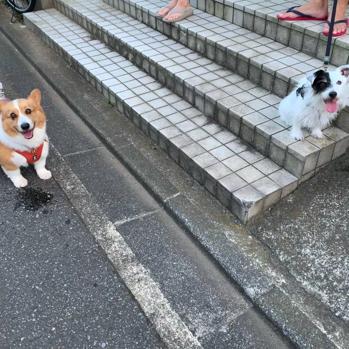 F8753a5f 4e24 4573 9891 84090ea0993b 1694423448229