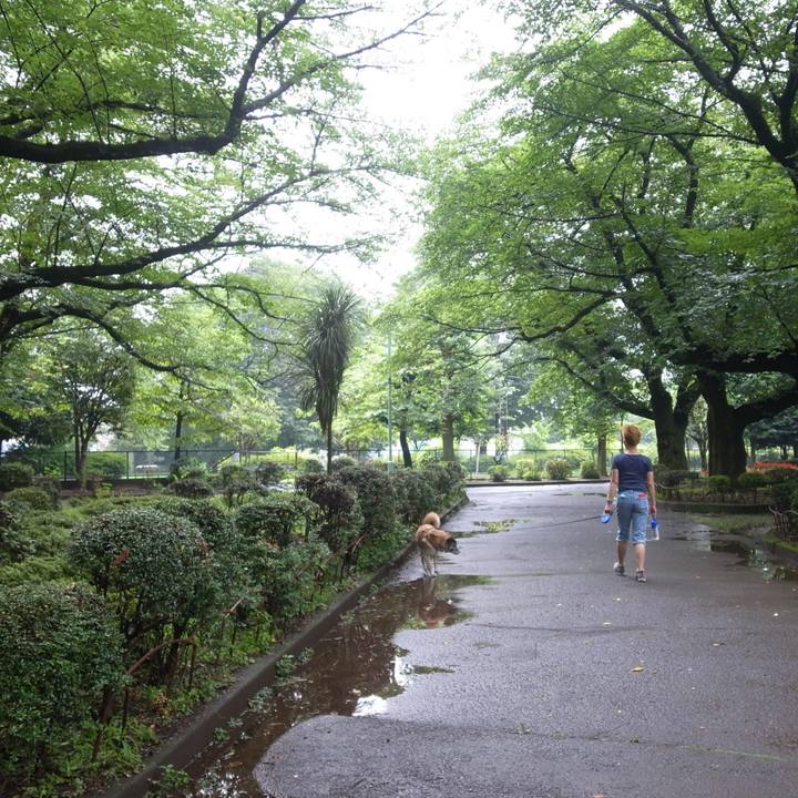 F8753e16 0589 429c 86f3 ed0d92e91476 1610327409989