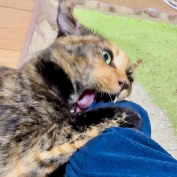 F8756ecc 8bf5 4b79 9592 eef0c84aa49b 1757104487300