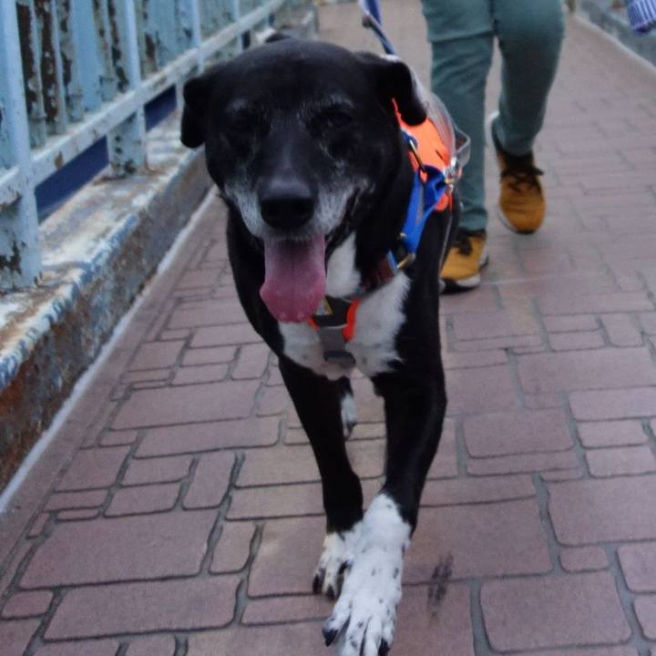 F8758beb e582 422e 8f4c f3d9999ba721 1749380211682