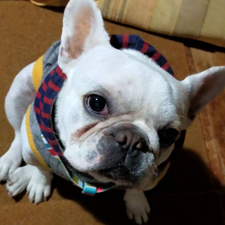 F875c2ee cff9 4820 8680 aa40ab86208b 1640687769344