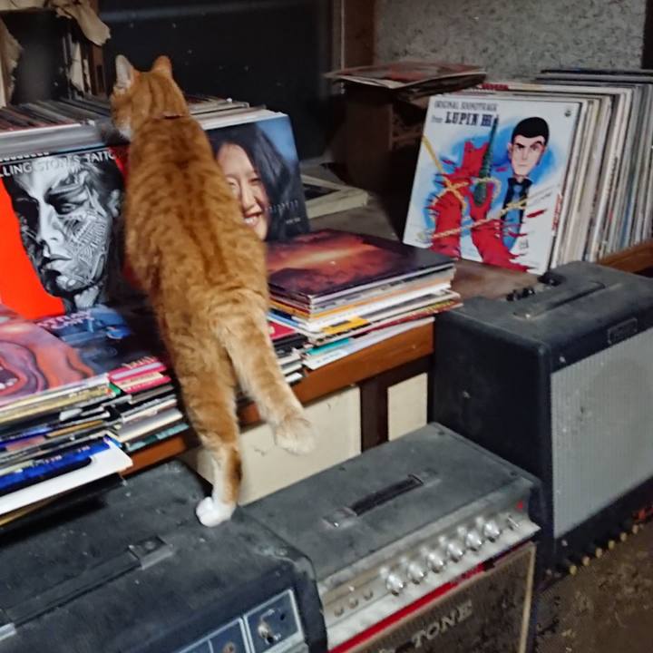 F875c428 8135 4fdd a9e7 dcc298671804 1605953451170