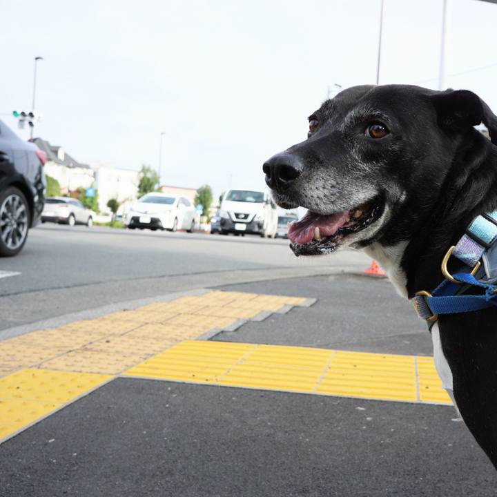 F875f0cd 26a9 4e75 b775 dd49307a6df0 1760229836985