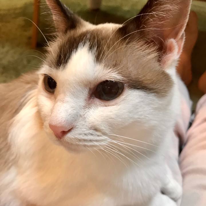 F876728a 2d22 4d2c 83b2 bc5e28192fc7 1601812709830