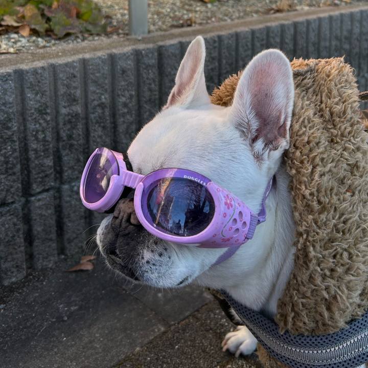 F876ebfc b28f 42a0 b957 31eaf1ab2d1b 1768040840177