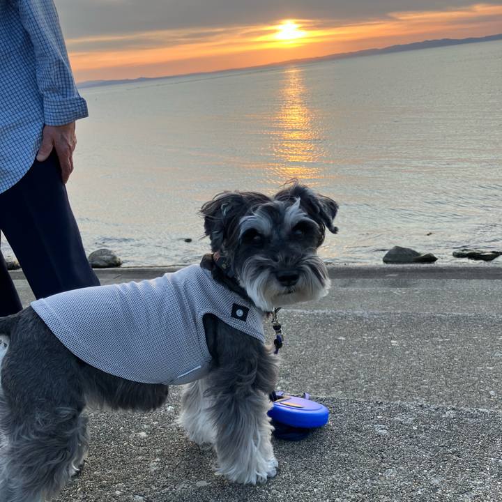 F8770339 d236 4975 883b b29272be922d 1715476785296