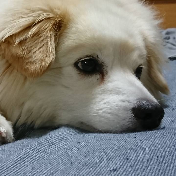 F8771f86 17e9 4819 a81c 80b210726056 1537824446600