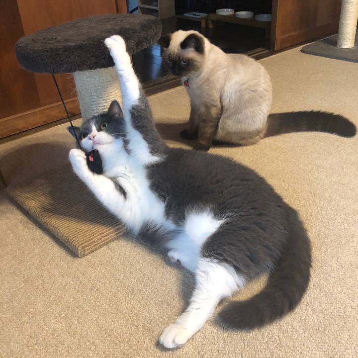 F87741c8 546d 40f3 bef8 9e0ccc2ab5bc 1595064839044