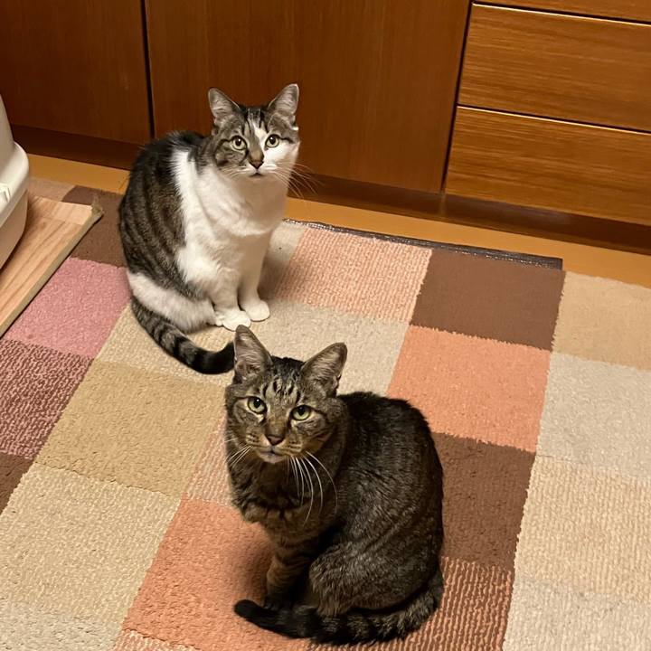 F8774345 c24c 44b7 8b0f 5eeac1d24ebf 1769028933644