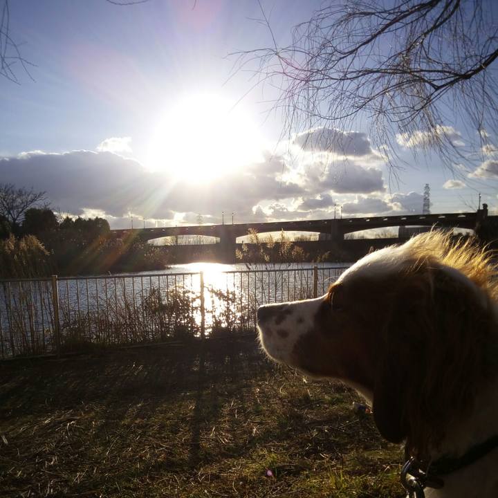 F8776662 5e13 40a0 85c2 0f5bc25ce32f 1517818954608