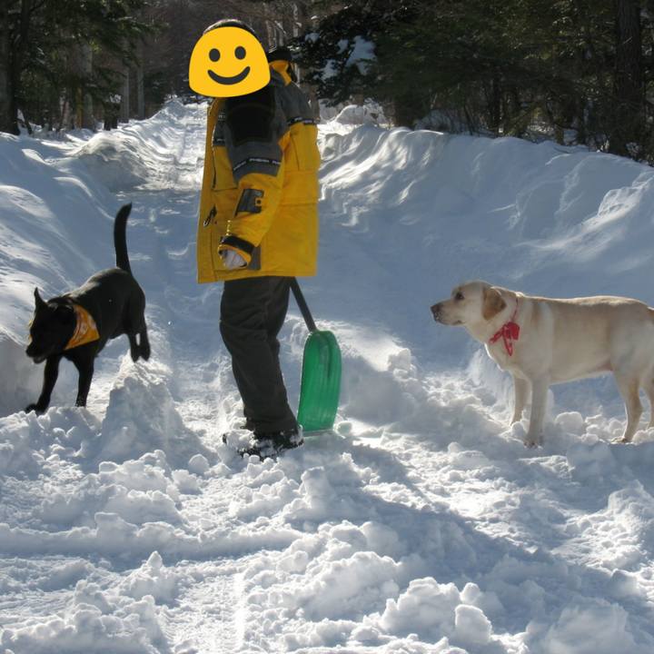 F8777383 b0cc 4c7d b225 e2cebcca8919 1526571364005