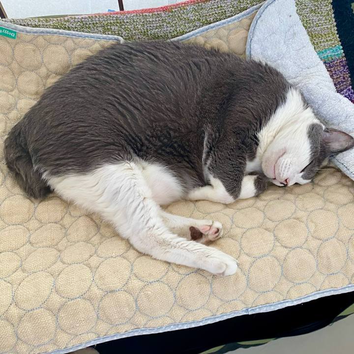 F87829c1 8f76 4b88 931d c1af1b761e4d 1756012055500