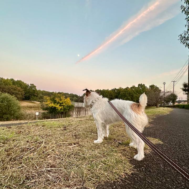 F8782c27 aa1a 40f8 aefb 90fc993850a6 1731854498174