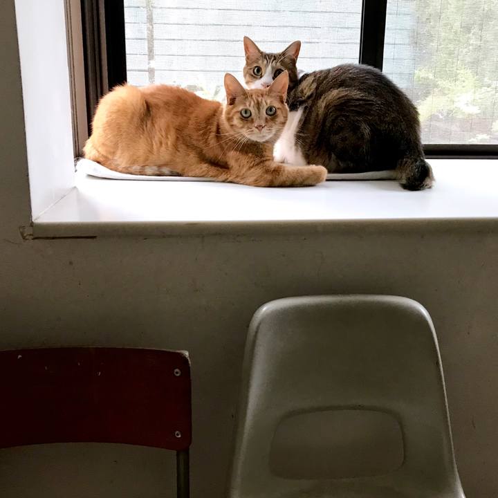 F8784845 d276 4122 a55d 8e0380ff81fe 1533705349330