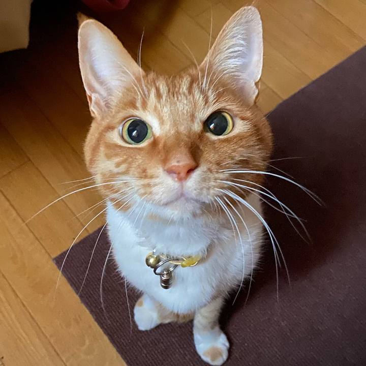 F878c02b 61f7 4fc1 8eac 2189ae52a849 1618658598847