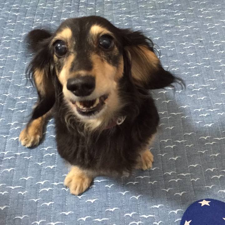 F878e2b0 daa6 466f 9b26 b36327110afd 1571611289015