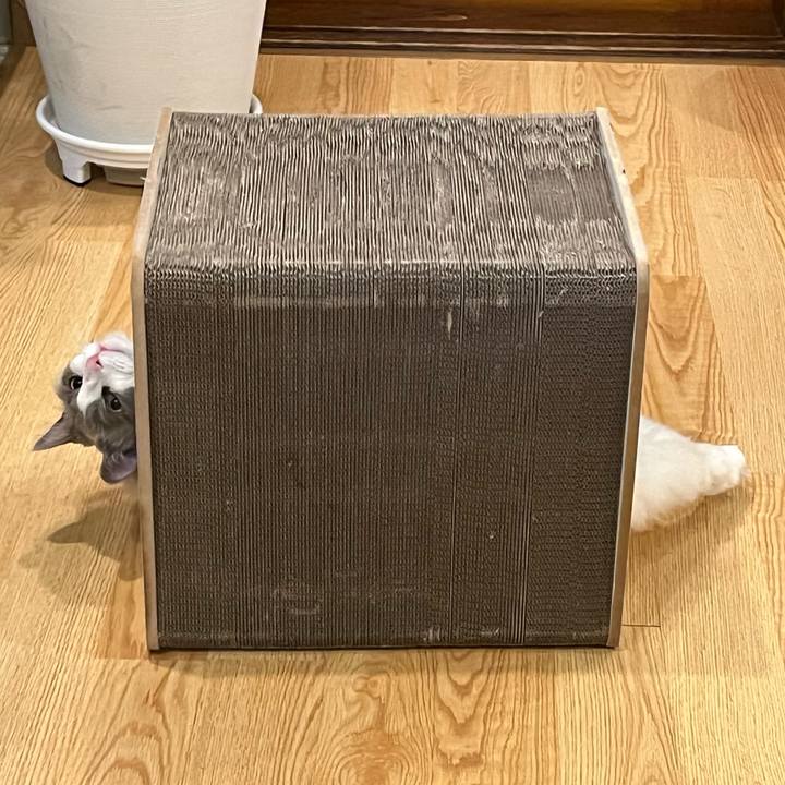 F878ff07 0fc8 4c91 9d80 badd900d69e0 1677383270463