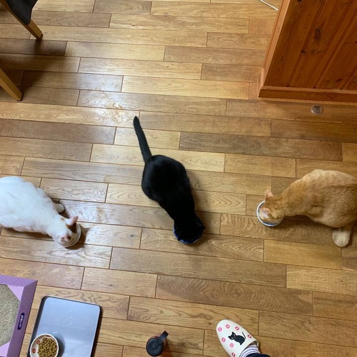 F8790fb7 d721 4677 a42e ed834e98d925 1559911235573