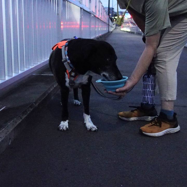 F8792836 b2c3 4ee6 b259 ab93137dcf16 1752750273381