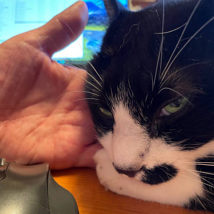 F8795498 d03f 4415 84e6 b5835426c99c 1756554601154