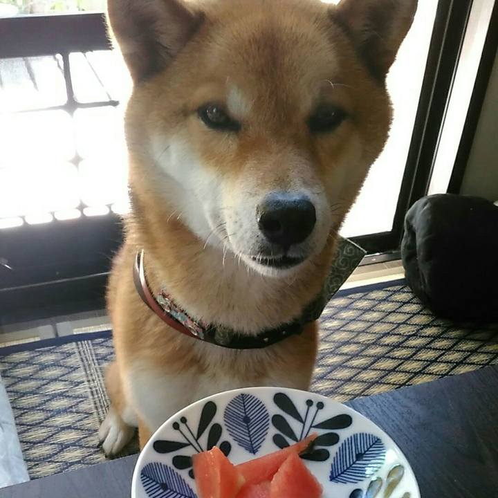 F8795b17 ddbf 4e21 9363 8488f254d264 1528087571152