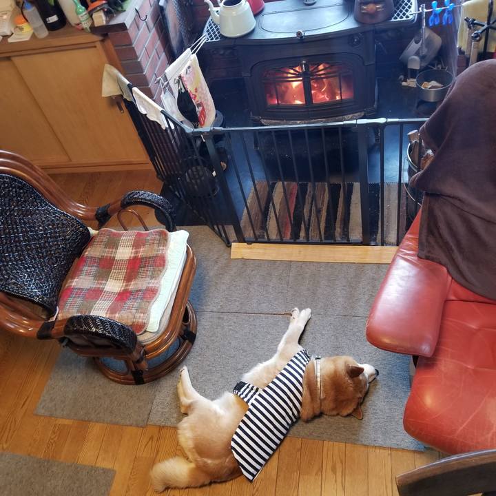 F8796d6e 6dde 4a88 a8bd 8964c6c03401 1643066359508