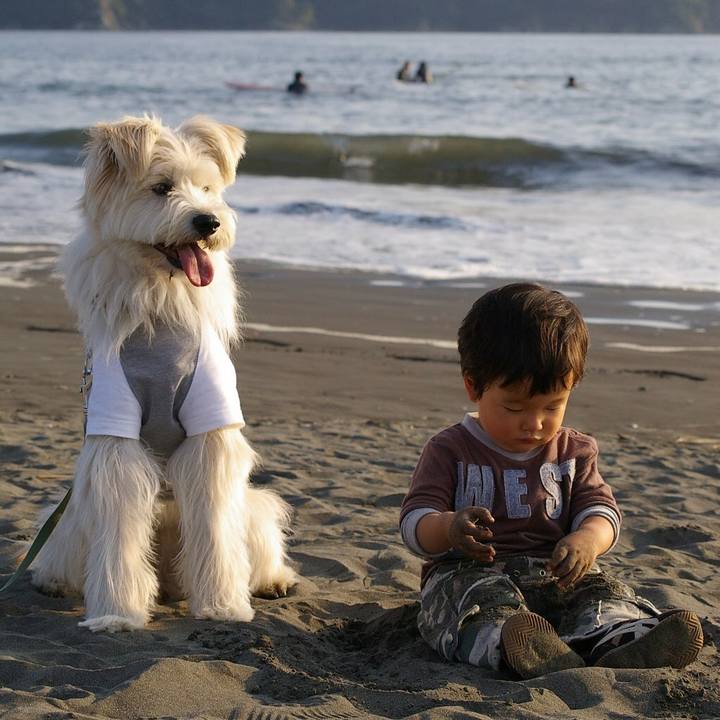 F8796feb 565e 4b2d a3b0 044ed4b51cb1 1673668327693