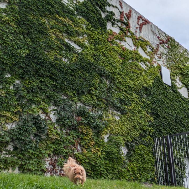 F87970f8 4f1a 4948 b641 97644c4653a0 1726709122776