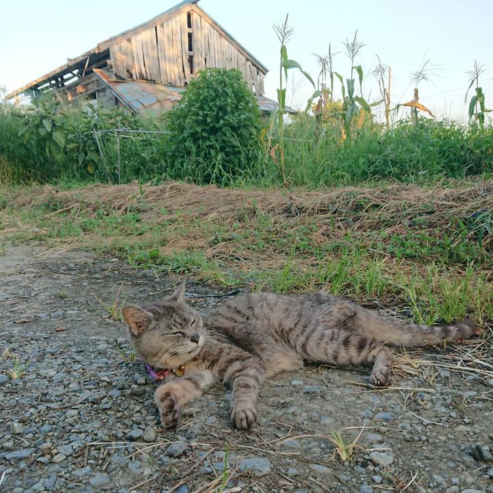 F87981a9 3726 4860 874c 1591ac0f39fe 1598431921674