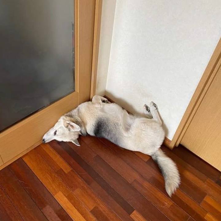 F879bdee 69a8 4991 bf76 55567dbf9e60 1595467958936