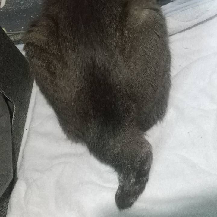 F879d5c7 5844 43eb 9d26 21327a42b350 1672479752684