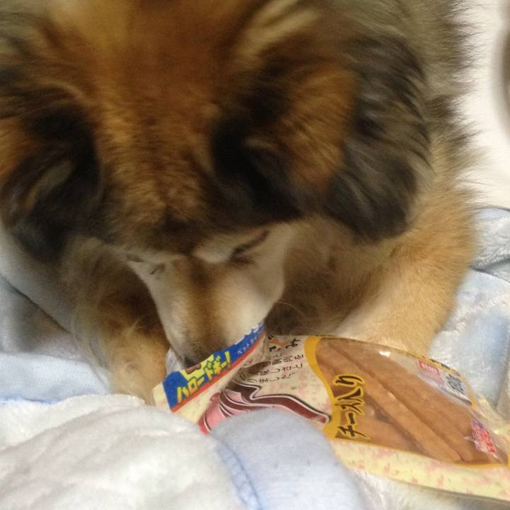 F879d777 40a3 4930 a25a 67e42f298ff7 1551629739008