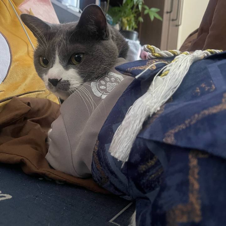 F879e4ba 13e1 4b75 9a8c 42b47ec98f0e 1735703137124