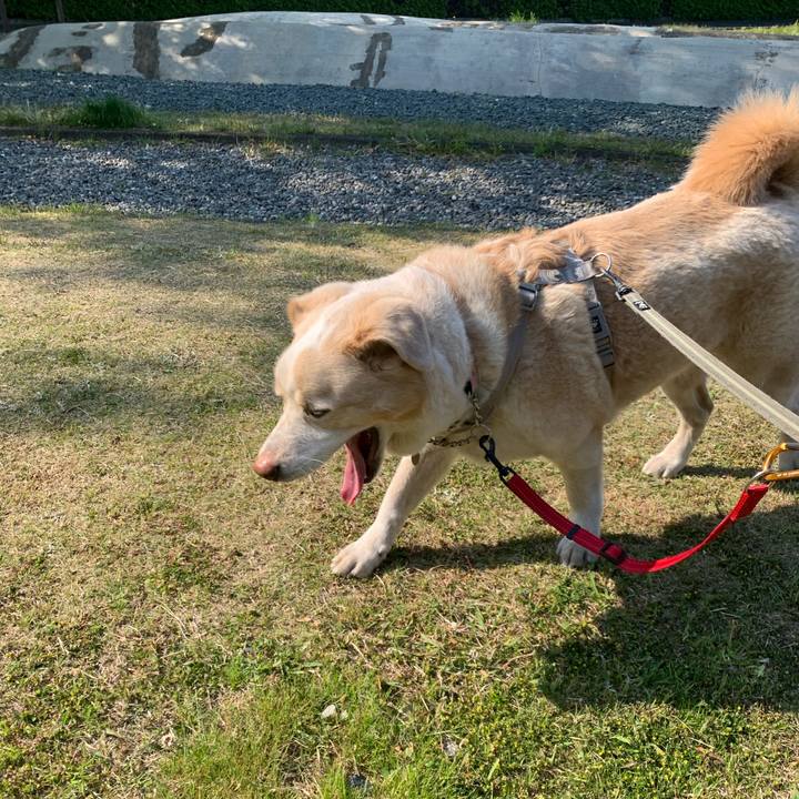 F87a0001 6fe1 4ca9 b9a0 e036347fb88a 1588120612010