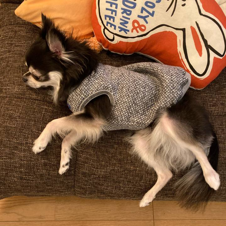 F87a0da1 6de1 48e8 9eeb f9aac8f7b4b5 1705751089021