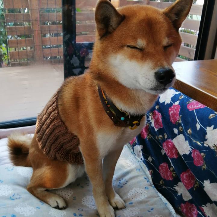 F87a16c1 95c2 48eb bfc7 14c01323b0c5 1607300384396