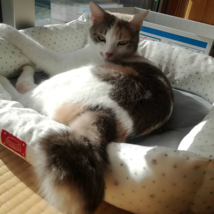 F87a69e4 459d 478f 8bf1 e90f1da805dd 1556353536628