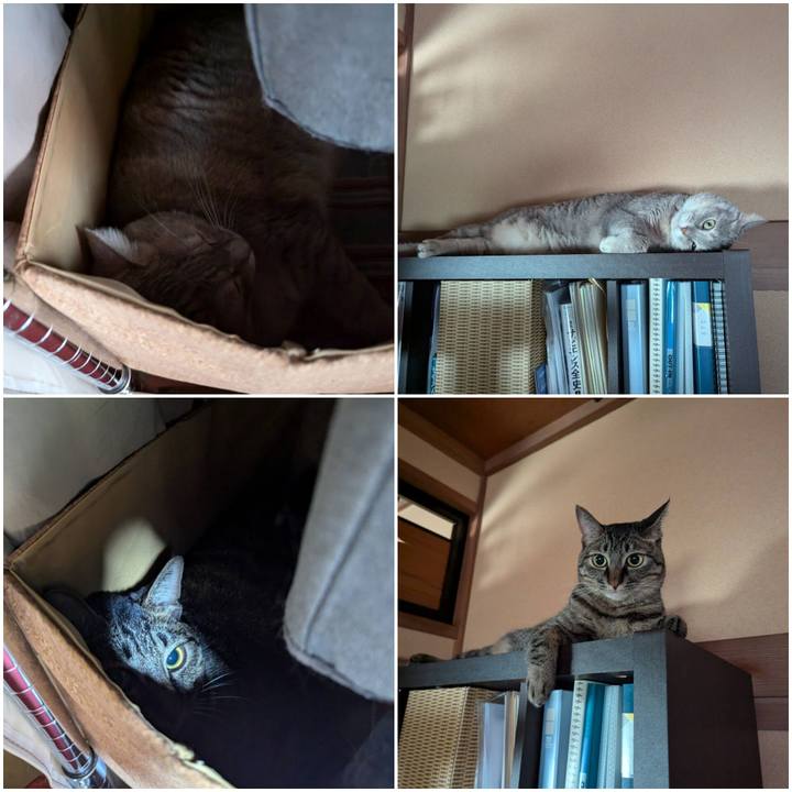 F87a7de8 a040 4a51 8add 66a2f9afd743 1724655597902