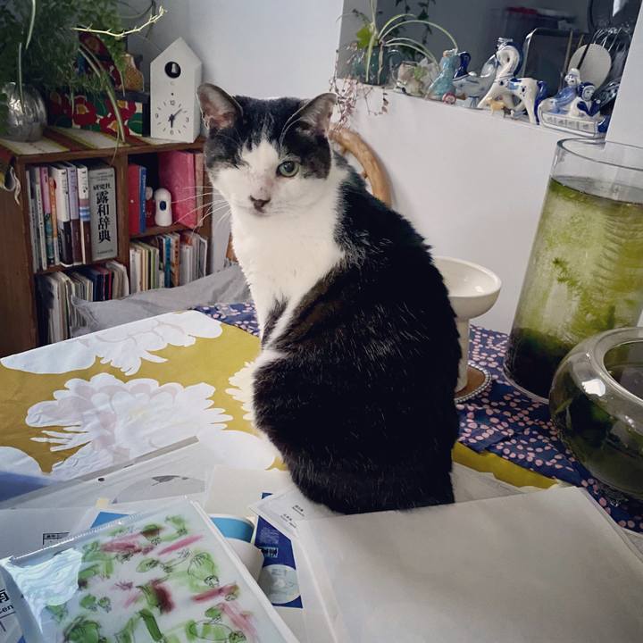 F87aa36a edd1 4553 a05c 0aae7301edc6 1587548119299