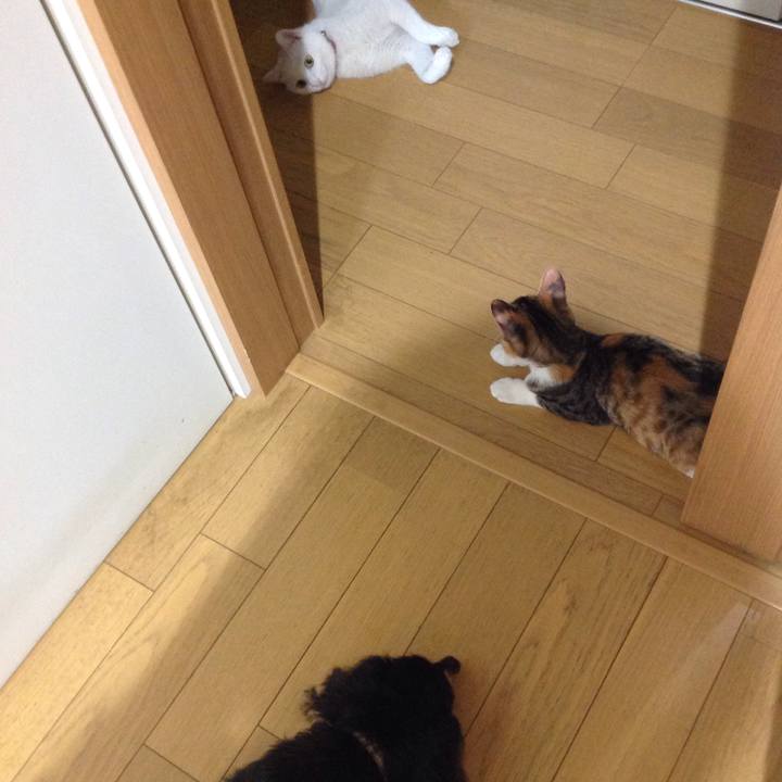 F87aded6 bf8d 49aa b358 b4c57394d3a0 1630321063608